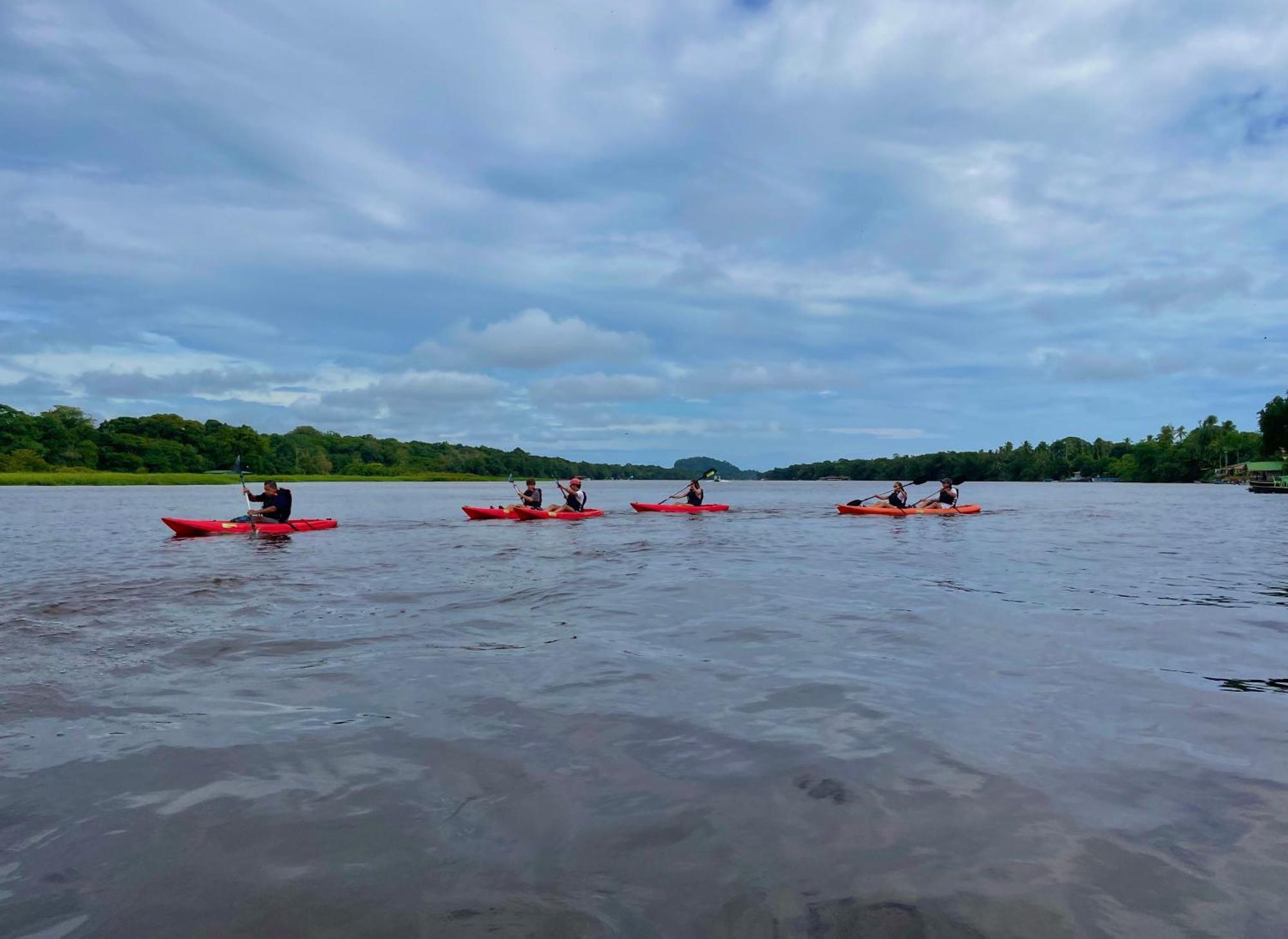 Carey Lodging Tortuguero Eksteriør billede