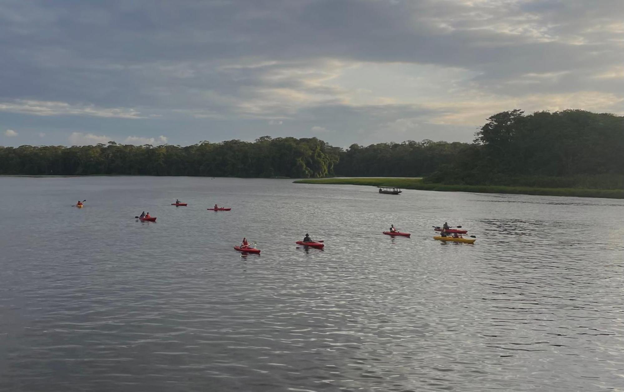 Carey Lodging Tortuguero Eksteriør billede