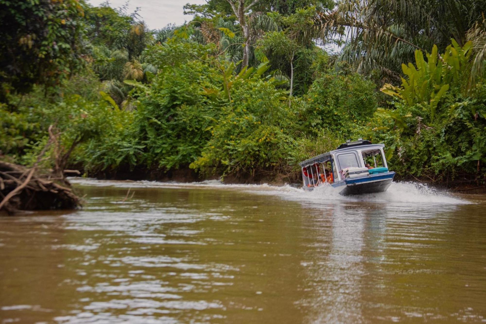 Carey Lodging Tortuguero Eksteriør billede