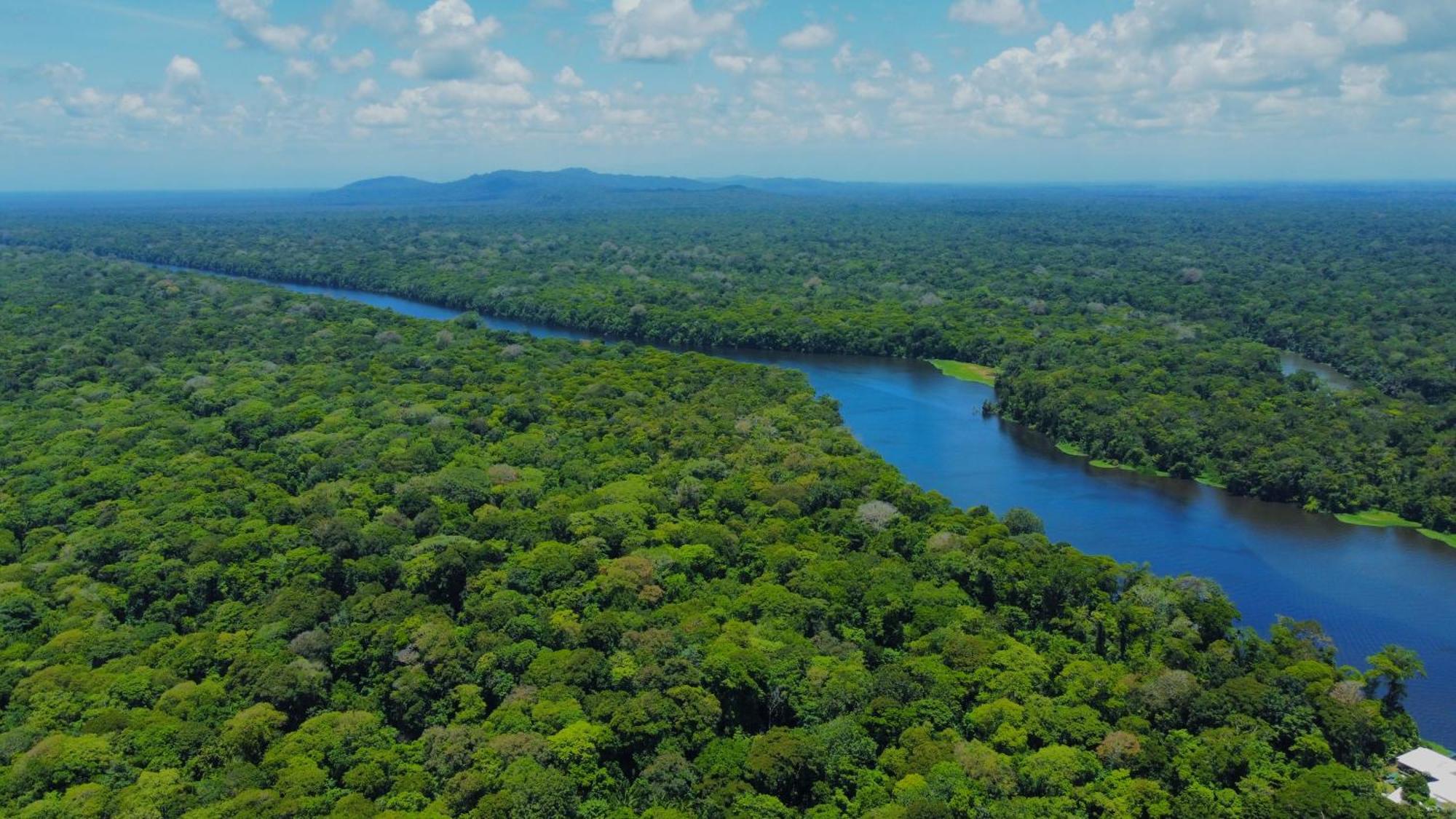 Carey Lodging Tortuguero Eksteriør billede