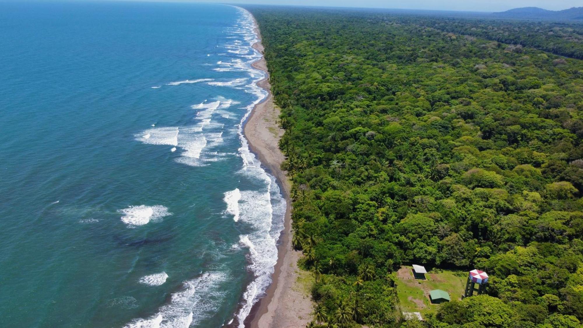 Carey Lodging Tortuguero Eksteriør billede