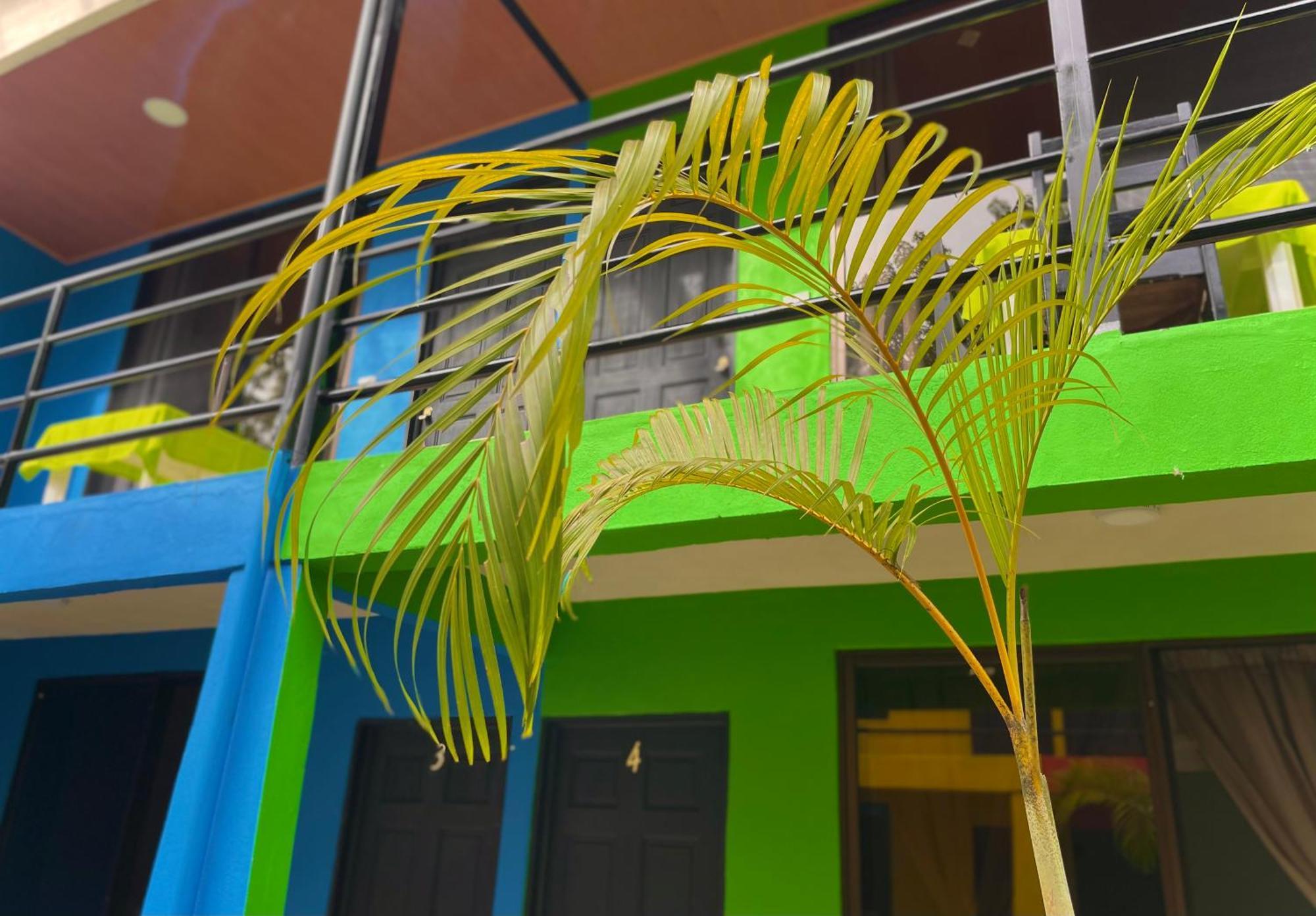 Carey Lodging Tortuguero Eksteriør billede