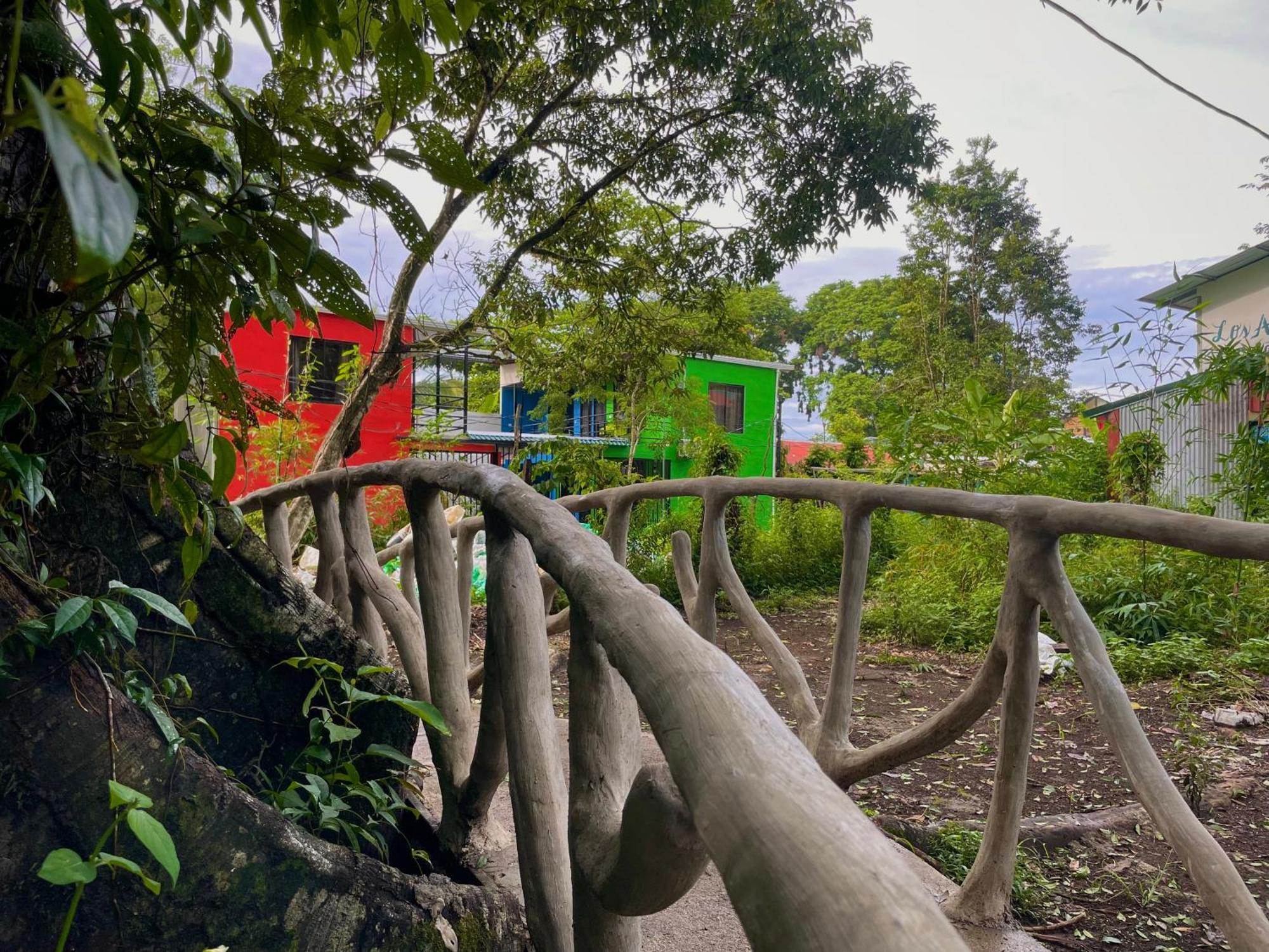 Carey Lodging Tortuguero Eksteriør billede