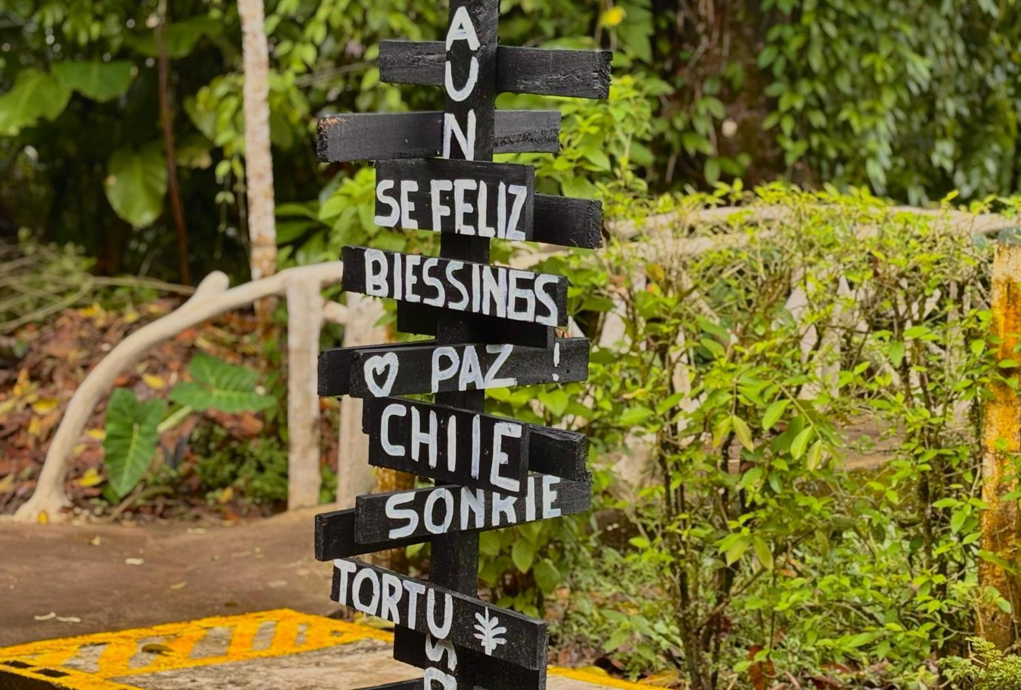 Carey Lodging Tortuguero Eksteriør billede